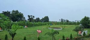 Farmhouse Plot available